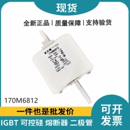 巴斯曼BUSSMANN低压快速熔断器 170M6812