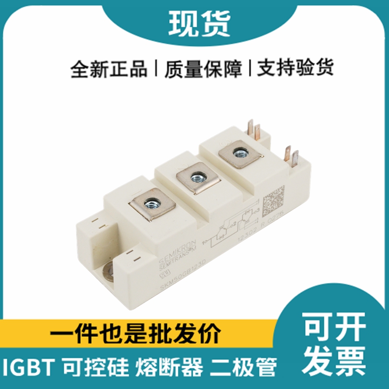西门康SEMIKRON 功率IGBT模块 SKM50GB123D