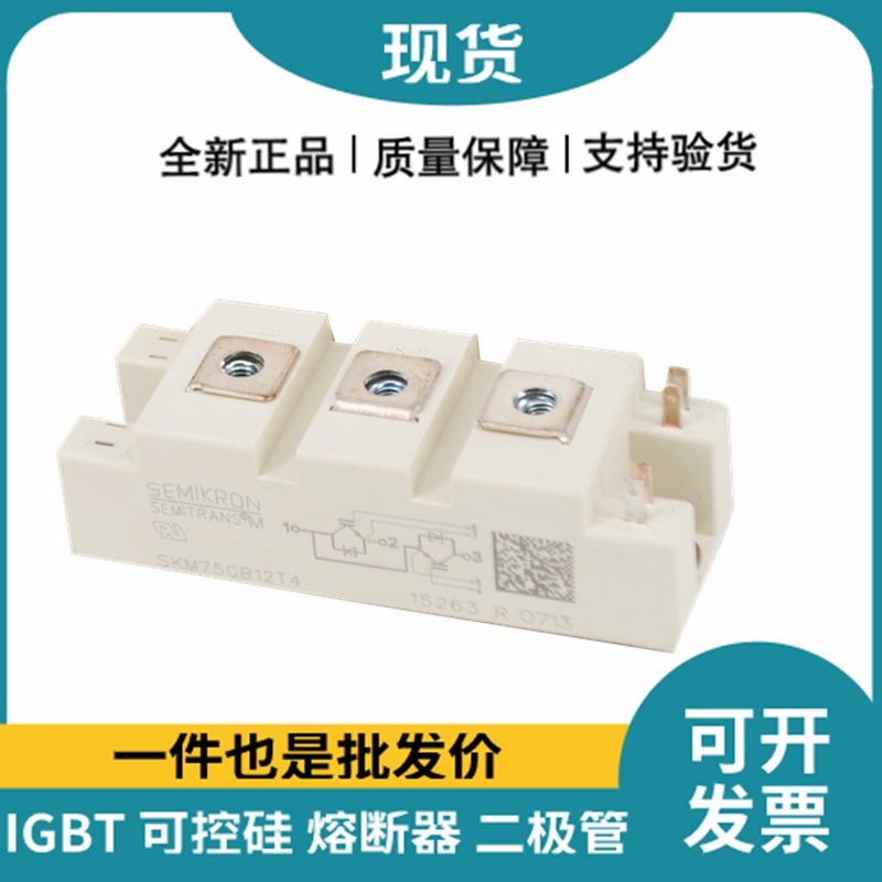 西门康SEMIKRON 功率IGBT模块 SKM75GB12T4