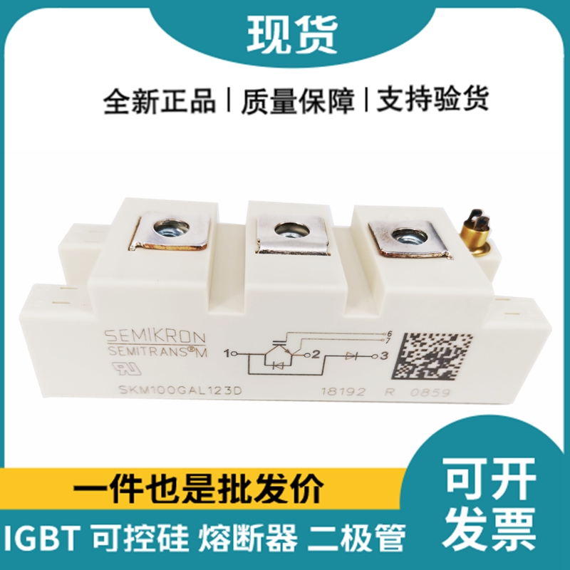 西门康SEMIKRON 功率IGBT模块 SKM100GAL123D