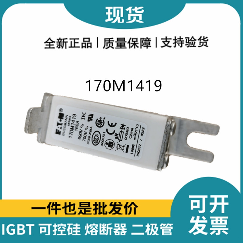巴斯曼BUSSMANN低压快速熔断器 170M1419