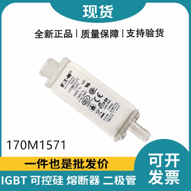 巴斯曼BUSSMANN低压快速熔断器 170M1571