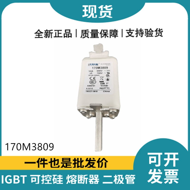 巴斯曼BUSSMANN低压快速熔断器 170M3809