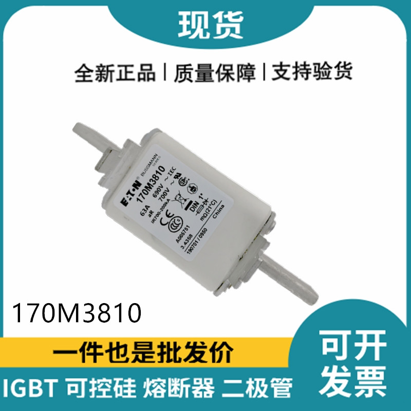 巴斯曼BUSSMANN低压快速熔断器 170M3810