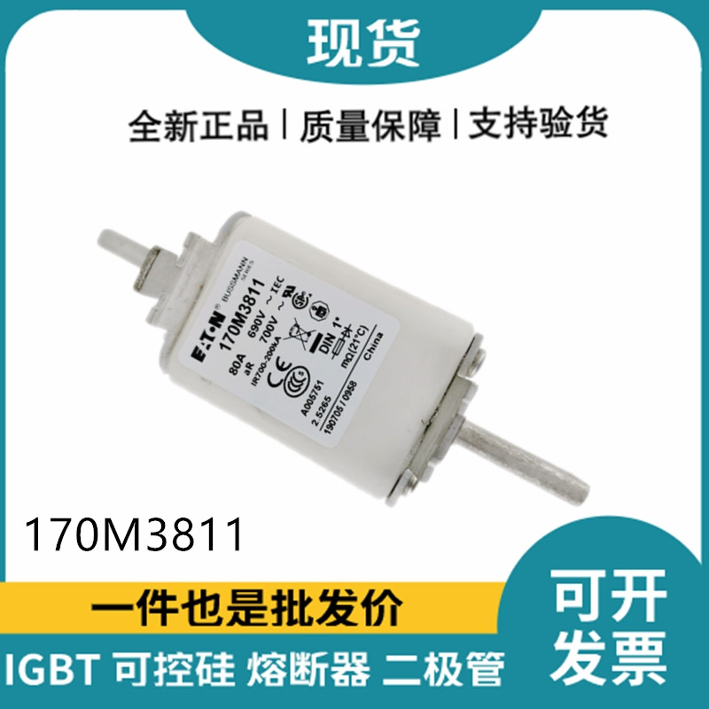巴斯曼BUSSMANN低压快速熔断器 170M3811