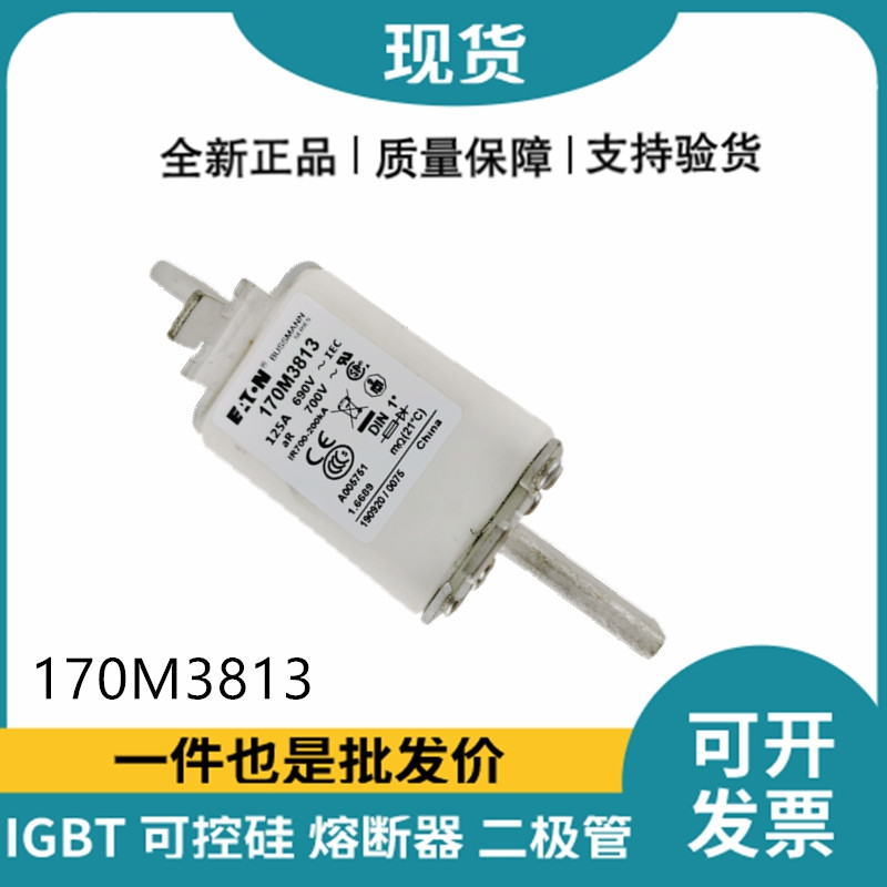 巴斯曼BUSSMANN低压快速熔断器 170M3813