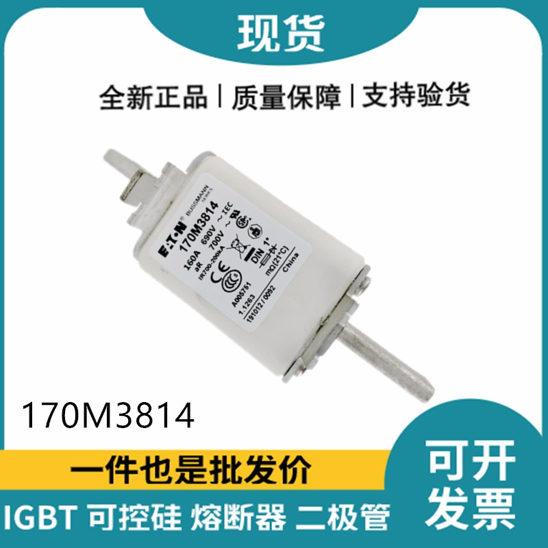 巴斯曼BUSSMANN低压快速熔断器 170M3814
