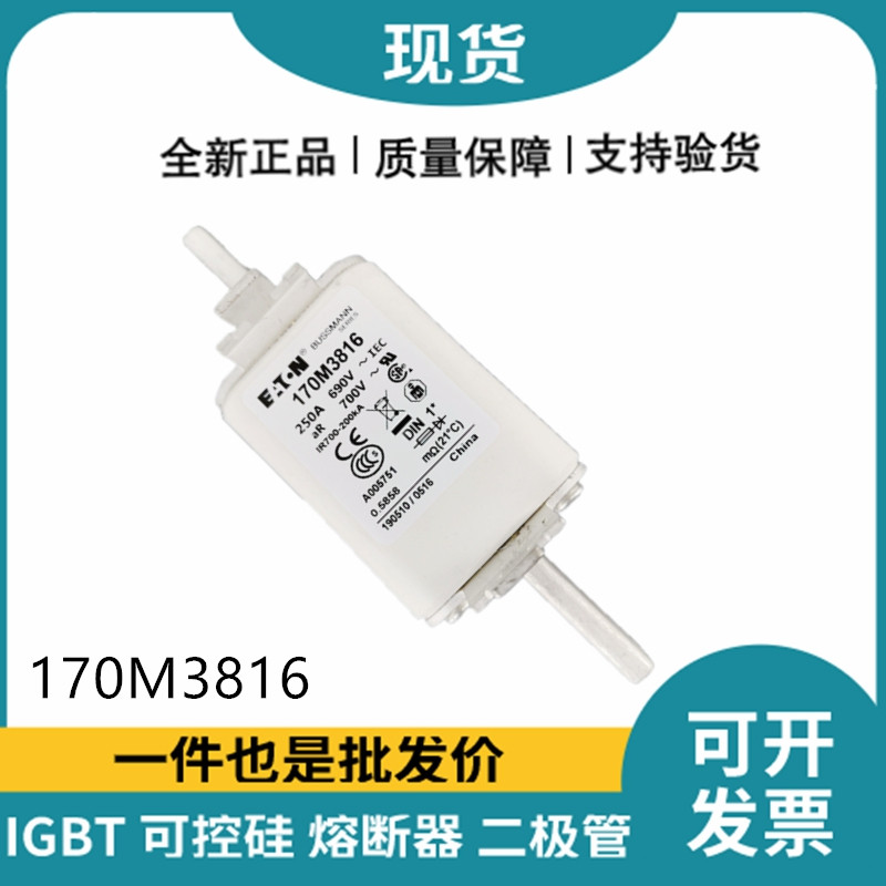 巴斯曼BUSSMANN低压快速熔断器 170M3816