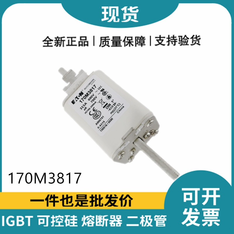 巴斯曼BUSSMANN低压快速熔断器 170M3817