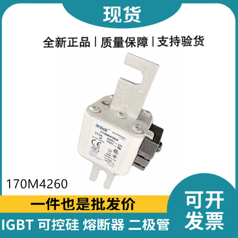 巴斯曼BUSSMANN低压快速熔断器 170M4260