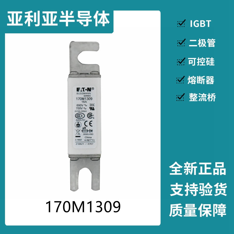 巴斯曼BUSSMANN低压快速熔断器 170M1309