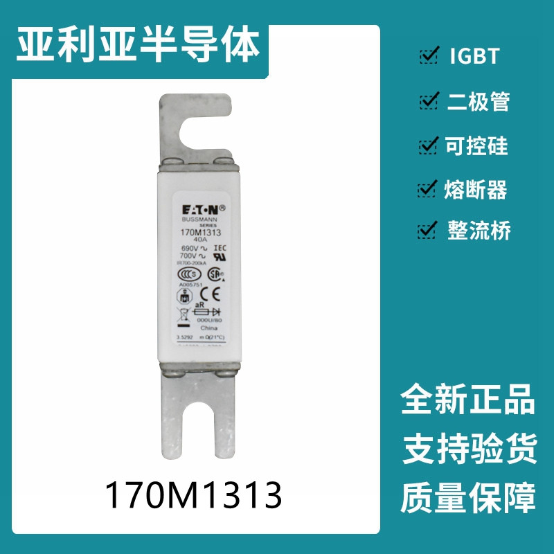 巴斯曼BUSSMANN低压快速熔断器  170M1313