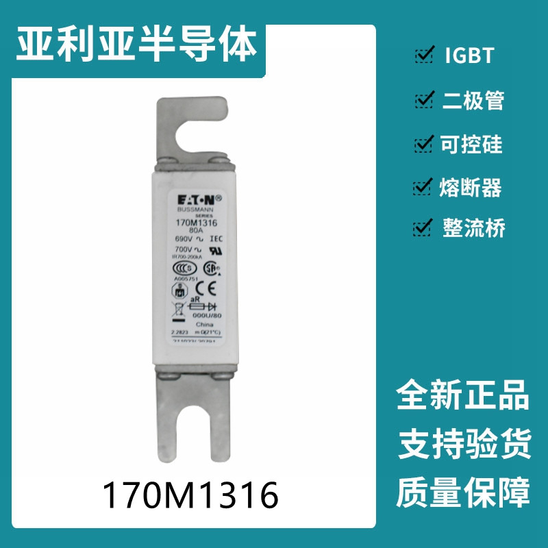 巴斯曼BUSSMANN低压快速熔断器 170M1316