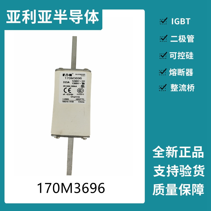 巴斯曼BUSSMANN低压快速熔断器 170M3696