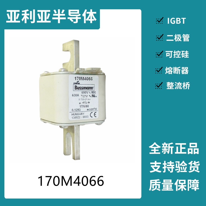 巴斯曼BUSSMANN低压快速熔断器 170M4066