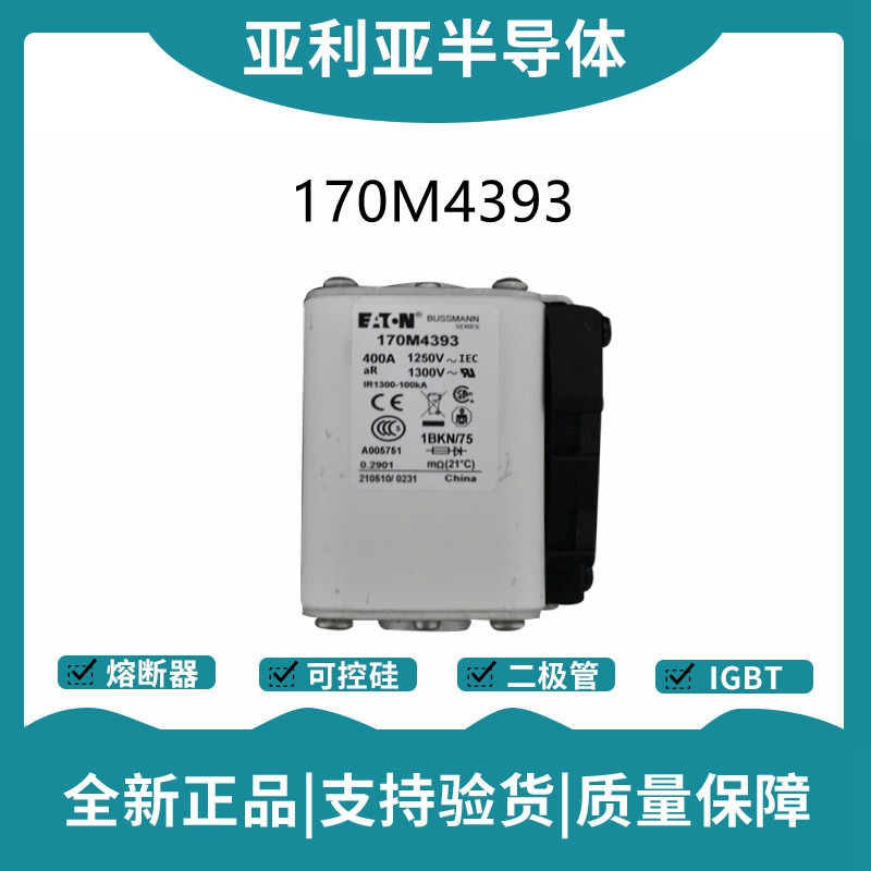巴斯曼BUSSMANN低压快速熔断器 170M4393
