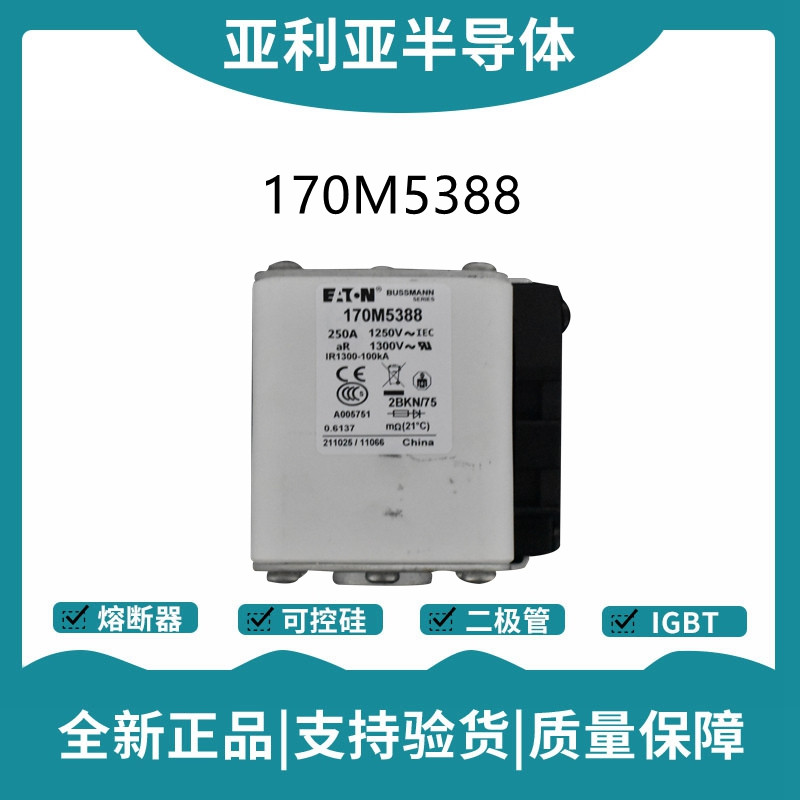巴斯曼BUSSMANN低压快速熔断器 170M5388