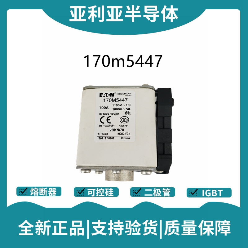 巴斯曼BUSSMANN低压快速熔断器 170M5447