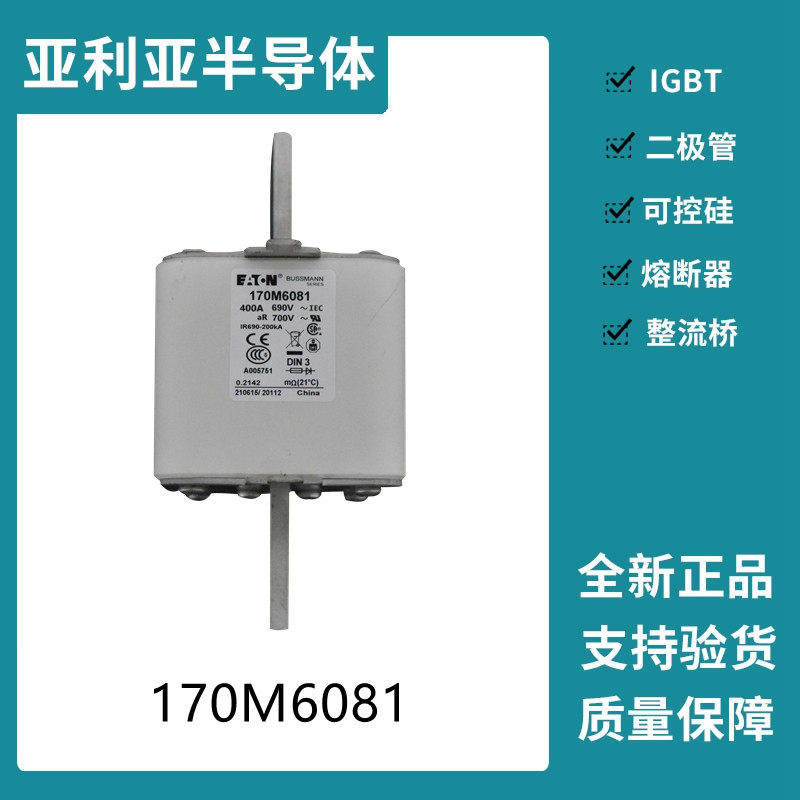 巴斯曼BUSSMANN低压快速熔断器 170M6081