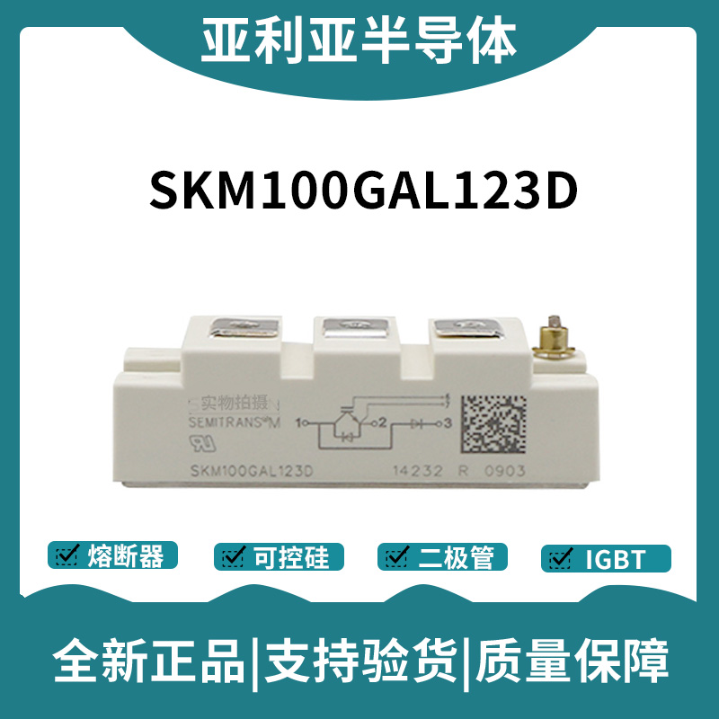 西门康SEMIKRON 功率IGBT模块 SKM100GAL063D